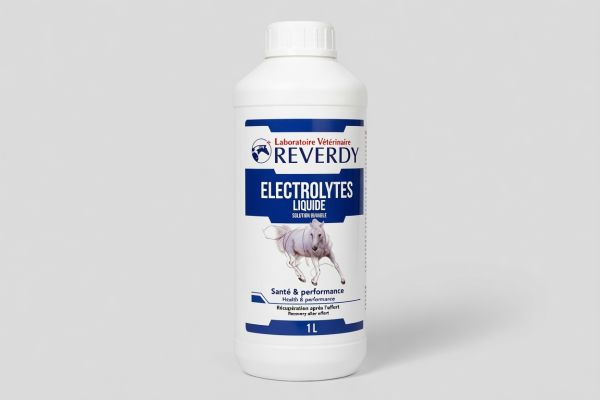 Électrolytes pour l'hydratation : guide des meilleurs produits