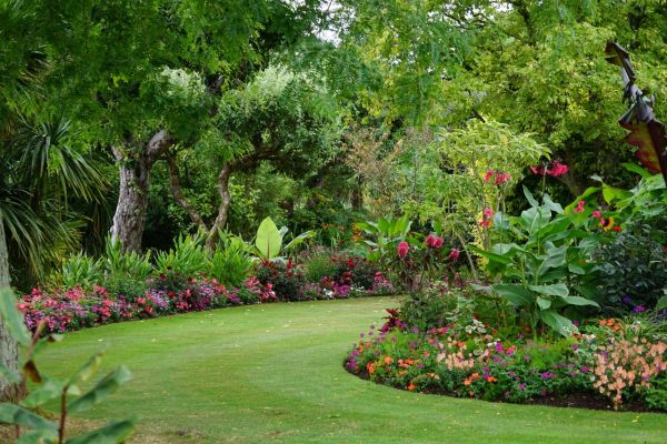 Inspiration verte pour une vie plus durable: conseils de jardinage et maison