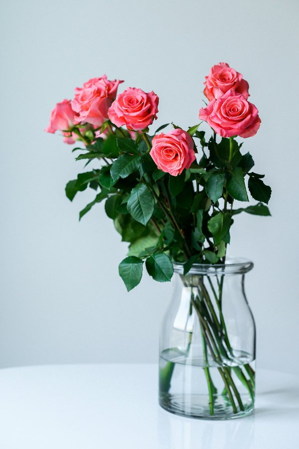 Décorez votre maison avec des vases transparent Élégants